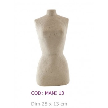 MANI 13